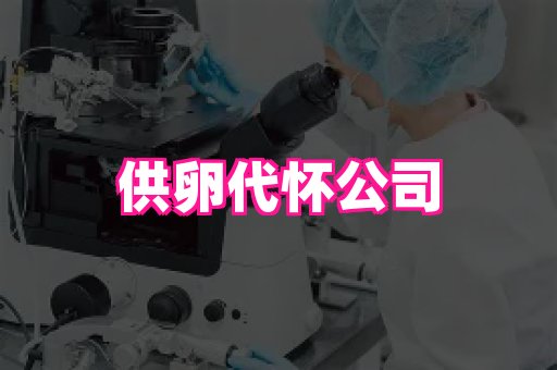 乐乐助孕网 2