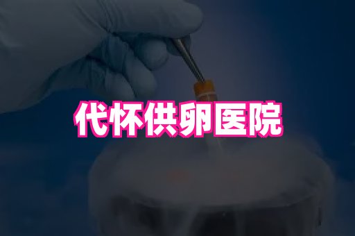 乐乐助孕网 3